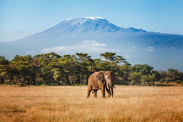 9 day tanzania safari