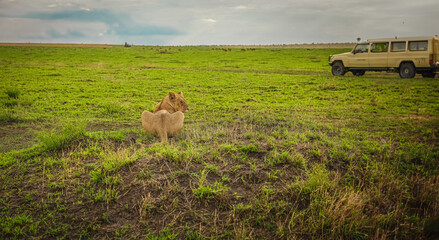 Private Tanzania Safari and Tours Packages