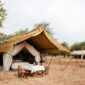 Serengeti Luxury Safari