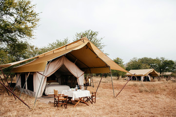 Serengeti Luxury Safari