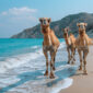 Tanzania Safari and Zanzibar Beach Holiday