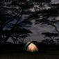 Mara Triangle Camping Guide