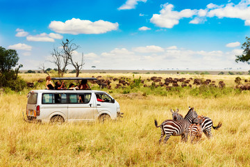 Best Kenya Safari and Beach Holiday Tour Packages