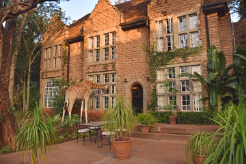 1 Day Nairobi Tour Safari