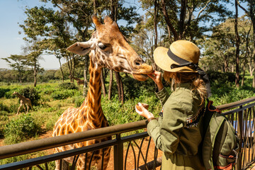 1 Day Nairobi Tour Safari