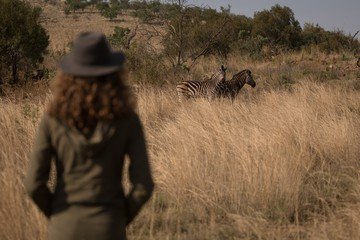 Budget-friendly Wildlife Safaris in Kenya