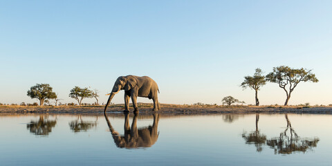 Budget-friendly Wildlife Safaris in Kenya