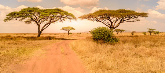 Best Kenya Safari and Beach Holiday Tour Packages